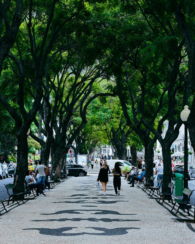 Live your best life in Madeira!